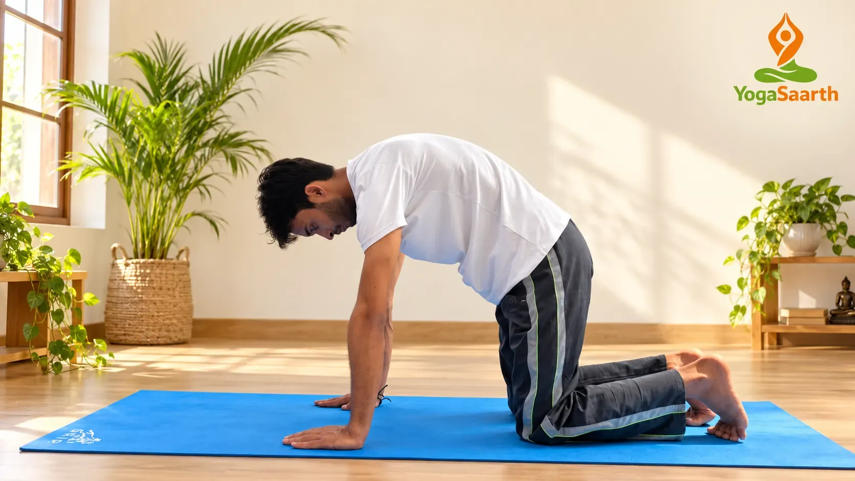 Cat Pose (Marjaryasana) – YogaSaarth Man on hands and knees gently rounding his back in Cat Pose